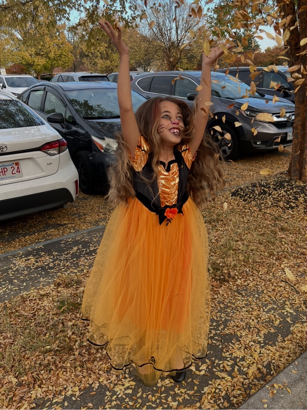 Target Orange and Black Tulle Halloween Dress